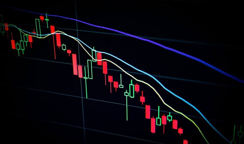 Building a Winning Crypto Portfolio